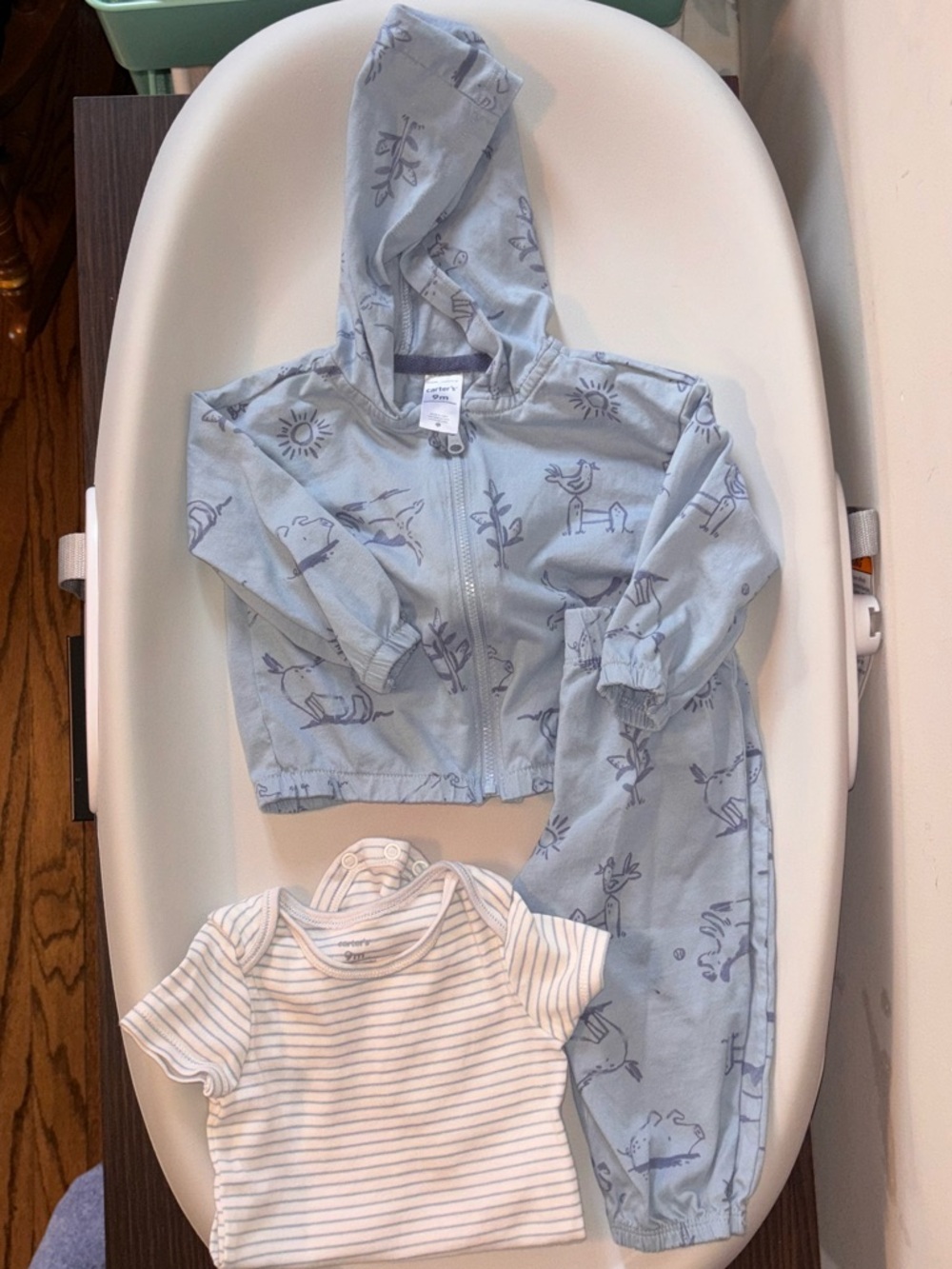 Carter’s 9 month baby boy set